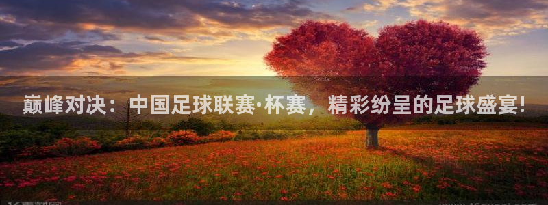 巅峰对决：中国足球联赛·杯赛，精彩纷呈的足球盛宴!