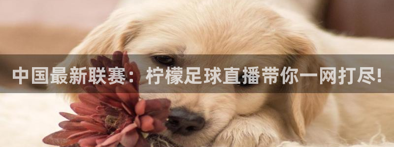 中国最新联赛：柠檬足球直播带你一网打尽!
