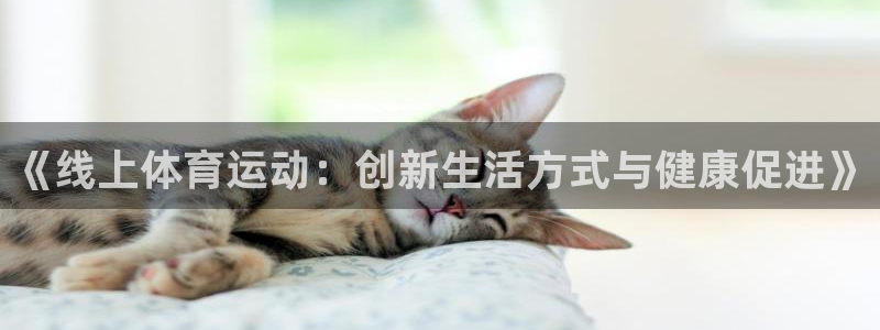 《线上体育运动：创新生活方式与健康促进》