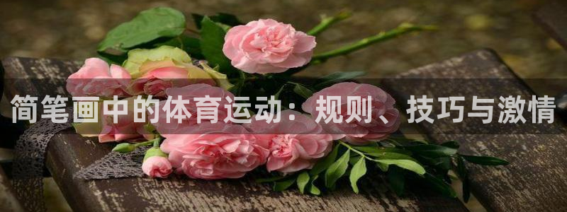 简笔画中的体育运动：规则、技巧与激情