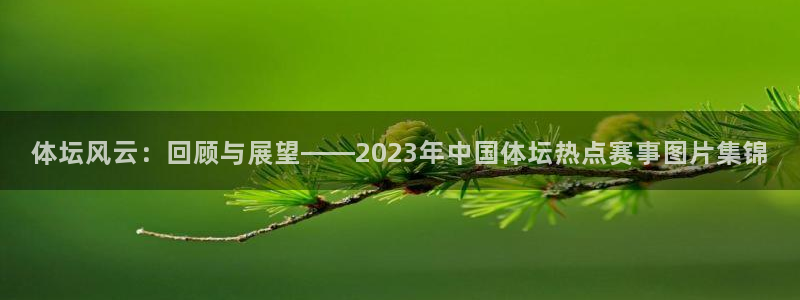 体坛风云：回顾与展望——2023年中国体坛热点赛事图片集锦