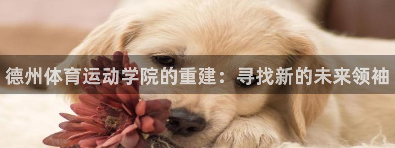 德州体育运动学院的重建：寻找新的未来领袖