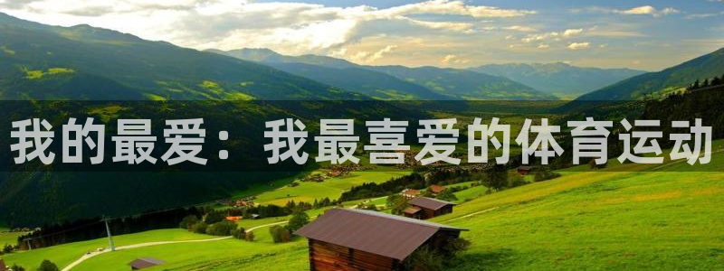 我的最爱：我最喜爱的体育运动
