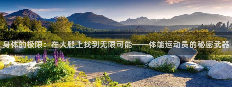 身体的极限：在大腿上找到无限可能——体能运动员的秘密武器