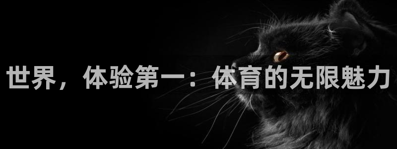 世界，体验第一：体育的无限魅力