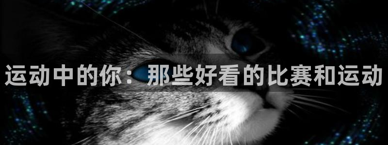 运动中的你：那些好看的比赛和运动