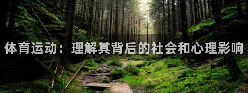 体育运动：理解其背后的社会和心理影响