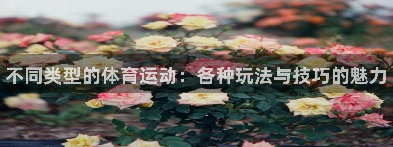 不同类型的体育运动：各种玩法与技巧的魅力