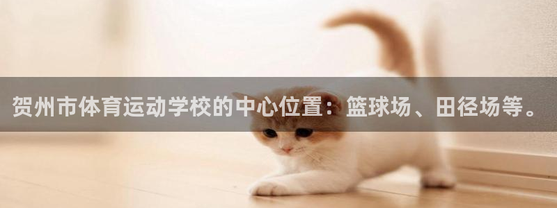 贺州市体育运动学校的中心位置：篮球场、田径场等。