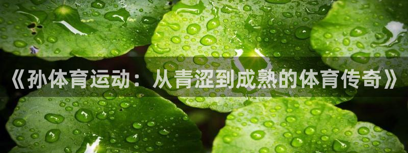 《孙体育运动：从青涩到成熟的体育传奇》