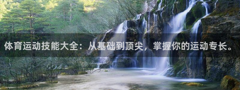 体育运动技能大全：从基础到顶尖，掌握你的运动专长。