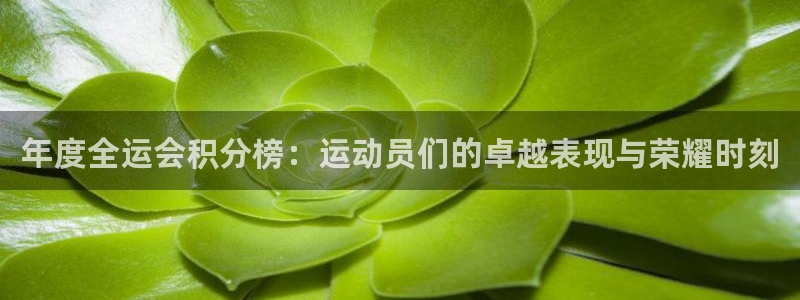 年度全运会积分榜：运动员们的卓越表现与荣耀时刻