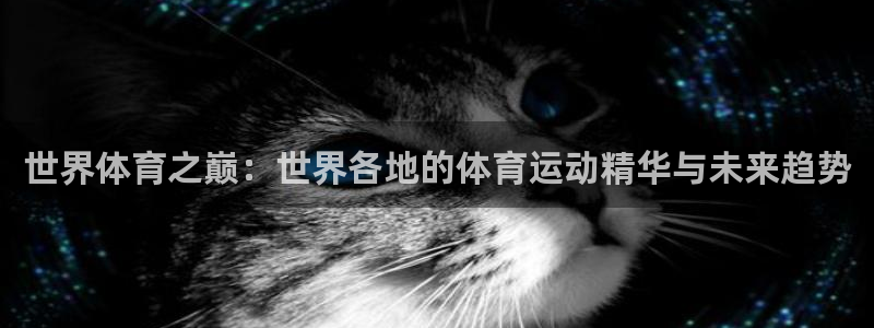 世界体育之巅：世界各地的体育运动精华与未来趋势