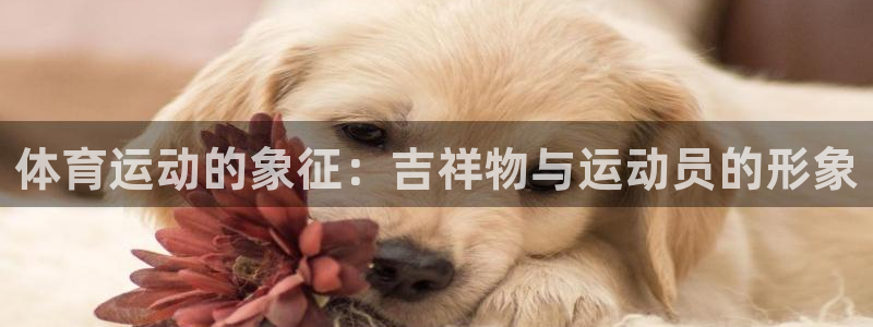 体育运动的象征：吉祥物与运动员的形象