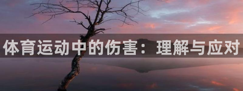 体育运动中的伤害：理解与应对