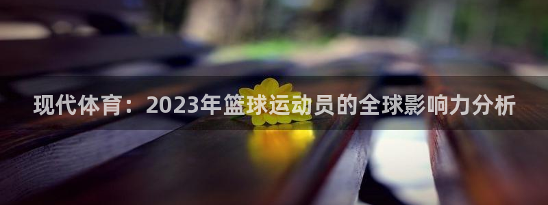 现代体育：2023年篮球运动员的全球影响力分析