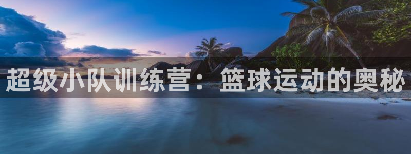 超级小队训练营：篮球运动的奥秘