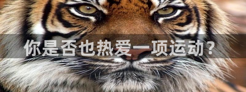 你是否也热爱一项运动？