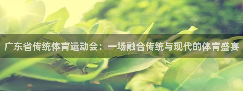 广东省传统体育运动会：一场融合传统与现代的体育盛宴