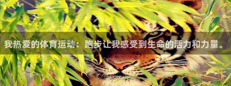 我热爱的体育运动：跑步让我感受到生命的活力和力量。
